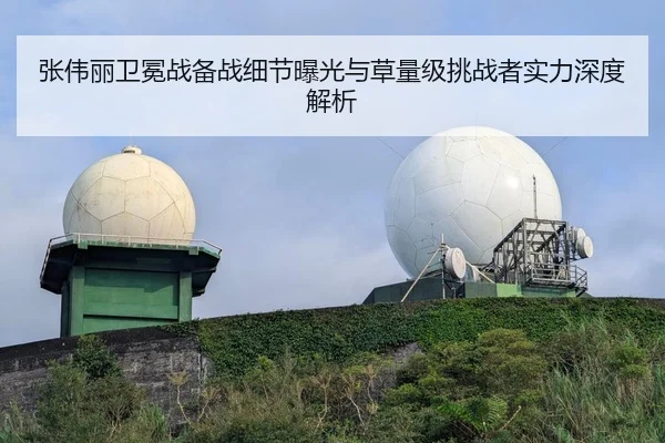 张伟丽卫冕战备战细节曝光与草量级挑战者实力深度解析